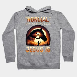 Horse Normal Isn't Coming Back Jesus Is Hoodie